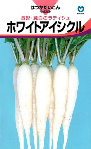 ハツカダイコン　ホワイトアイシクル