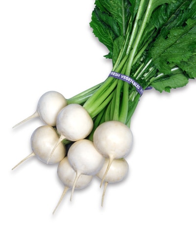 カブ　金町小蕪