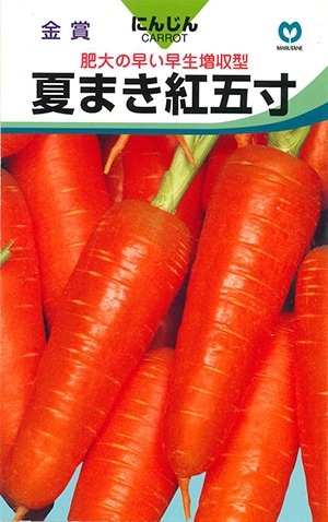 ニンジン 夏まき紅五寸 | 根菜類,ニンジン | 丸種オンラインショップ