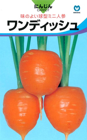 ニンジン　ワンディッシュ