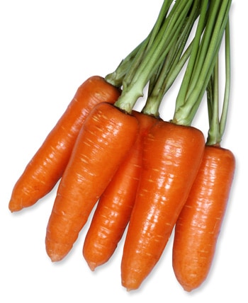 ニンジン　時無五寸人参