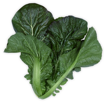 ツケナ　三池赤ちりめん高菜