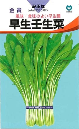 ミブナ　早生壬生菜