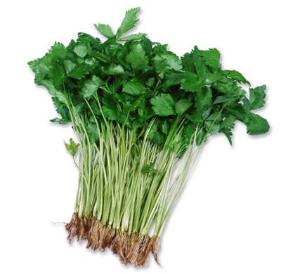 ミツバ　関西みつば