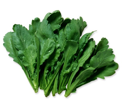 シュンギク　大葉しゅんぎく