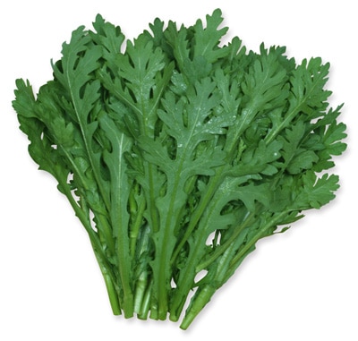 シュンギク　中葉しゅんぎく