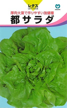 レタス　都サラダ