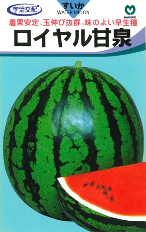 大玉スイカ　ロイヤル甘泉