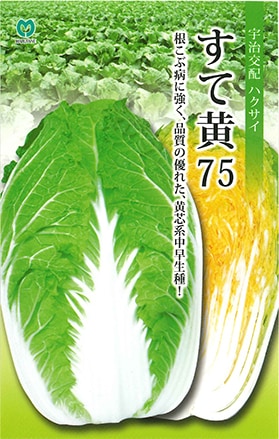 すて黄75（MHX-713）