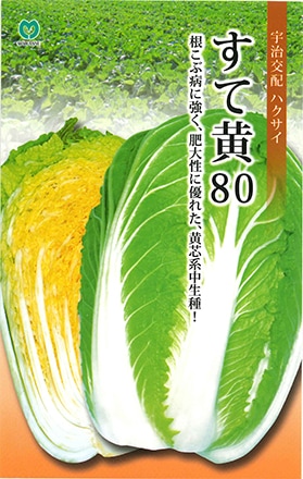 すて黄80（MHX-026）