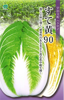 すて黄90（MHX-929）