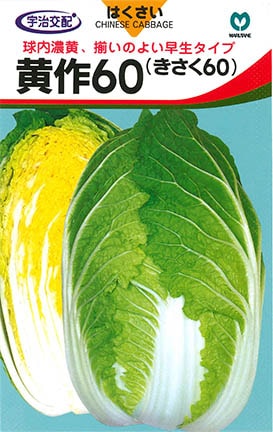ハクサイ　黄作（きさく）60