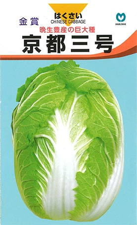 ハクサイ　京都三号