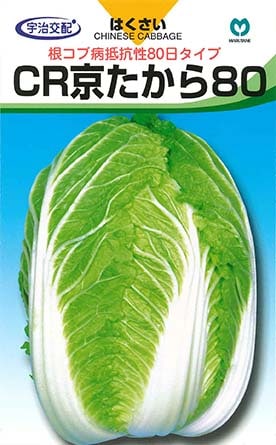 ハクサイ　CR京たから80