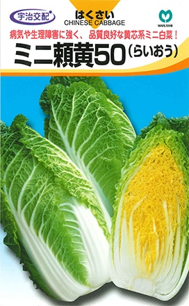 ハクサイ　ミニ頼黄50（らいおう）