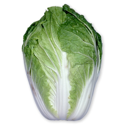 ハクサイ　野崎二号（のざきにごう）