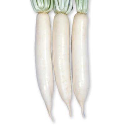 ダイコン　和歌山大根