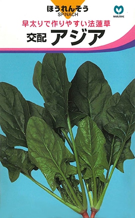 ホウレンソウ　アジア