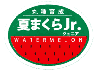 青果用シール　夏まくらJr