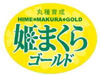 青果用シール　姫まくらゴールド