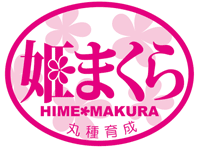 青果用シール　姫まくら