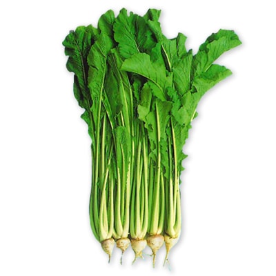 ツケナ　野沢菜