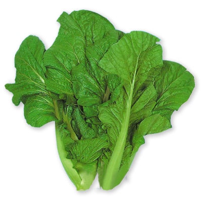 ツケナ　柳川青ちりめん高菜