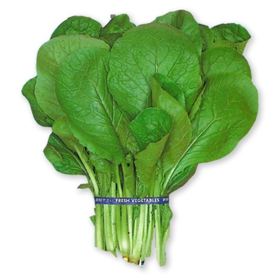 コマツナ　晩生小松菜