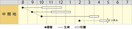 ハナナ　寒咲はなな