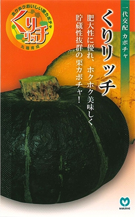 カボチャ くりリッチ
