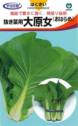 ツケナ　大原女