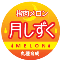 青果用シール　月しずくイエロー