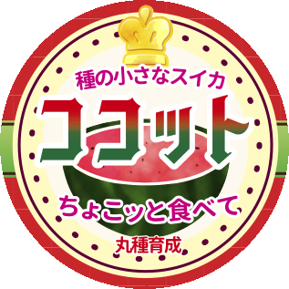 青果用シール　ココット