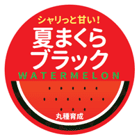 青果用シール　夏まくらブラック