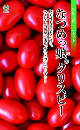 果菜類,トマト | 丸種オンラインショップ |野菜種子販売