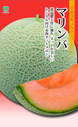 メロン　マリンバ