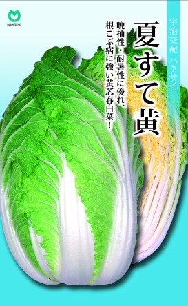 夏すて黄（MHX-209）