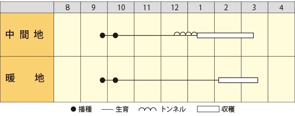 冬ぞなえ