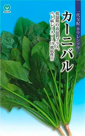 ホウレンソウ　カーニバル