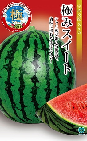小玉スイカ　極みスイート