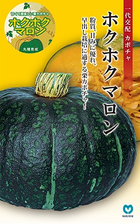 カボチャ ホクホクマロン | 果菜類,カボチャ・ズッキーニ,カボチャ