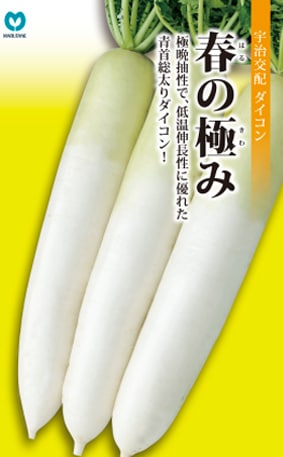 丸種オンラインショップ 野菜種子販売