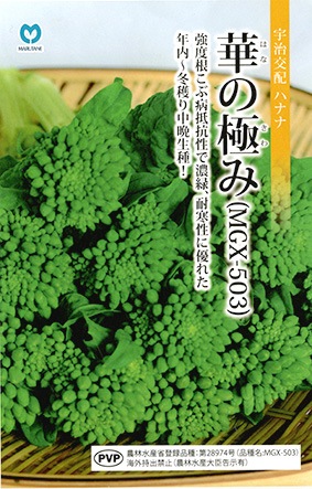 ハナナ　華の極み