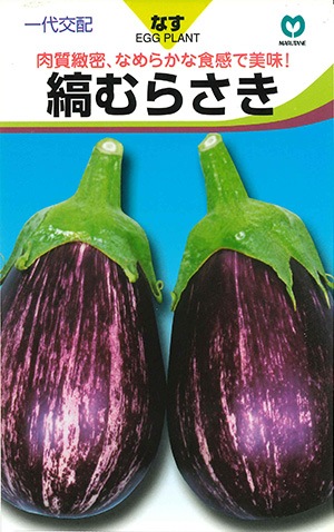 ナス 縞むらさき | 果菜類,ナス | 丸種オンラインショップ |野菜種子販売