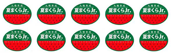 青果用シール　夏まくらJr