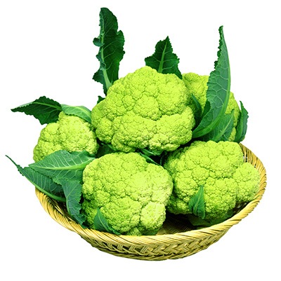 カリフラワー　連峰（れんほう）