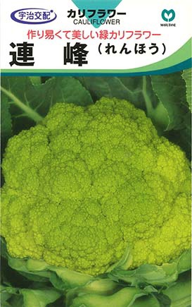 カリフラワー　連峰（れんほう）