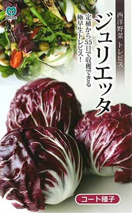 トレビス　ジュリエッタ