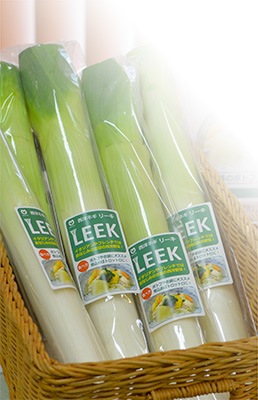 青果用シール　リーキ