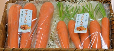 青果用シール　サラダ人参